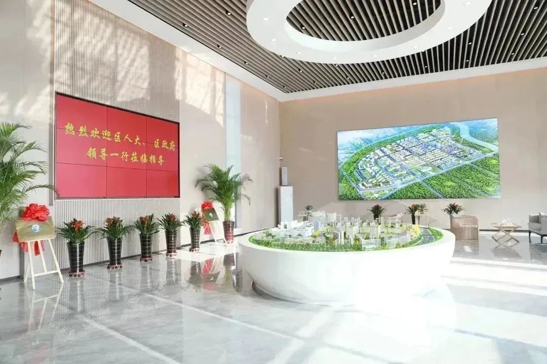 龍港區(qū)人大、區(qū)政府領(lǐng)導(dǎo)一行視察調(diào)研龍港國(guó)際醫(yī)療健康產(chǎn)業(yè)園(圖2)